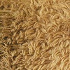 TeddyFur TeddyFur